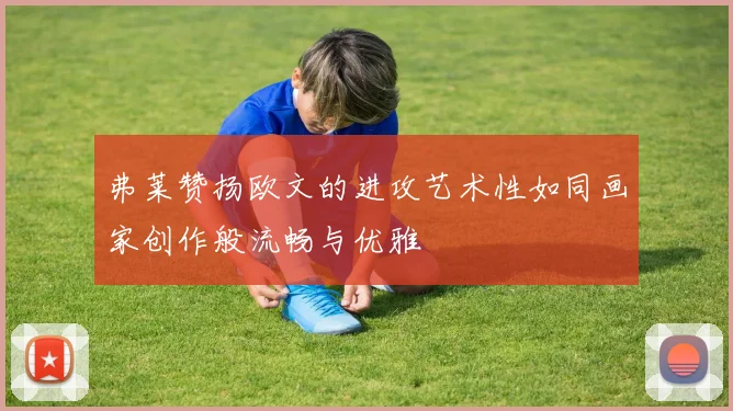 弗莱赞扬欧文的进攻艺术性如同画家创作般流畅与优雅