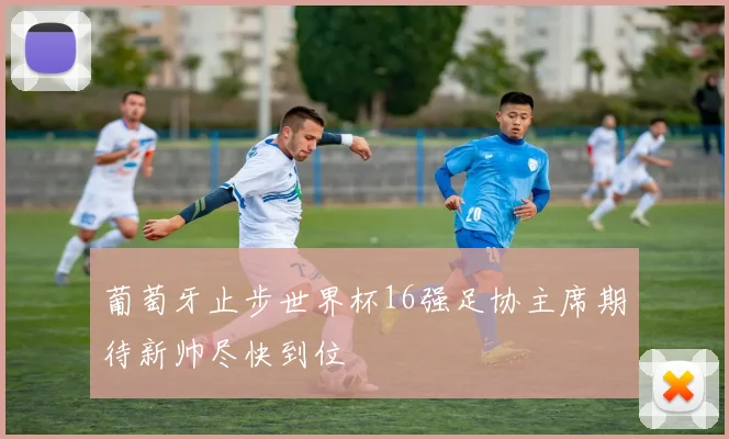 葡萄牙止步世界杯16强足协主席期待新帅尽快到位